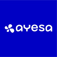 Ayesa India Pvt Ltd